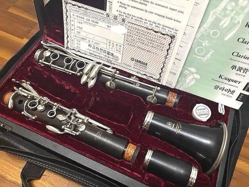 Clarinette professionnelle - bb,
